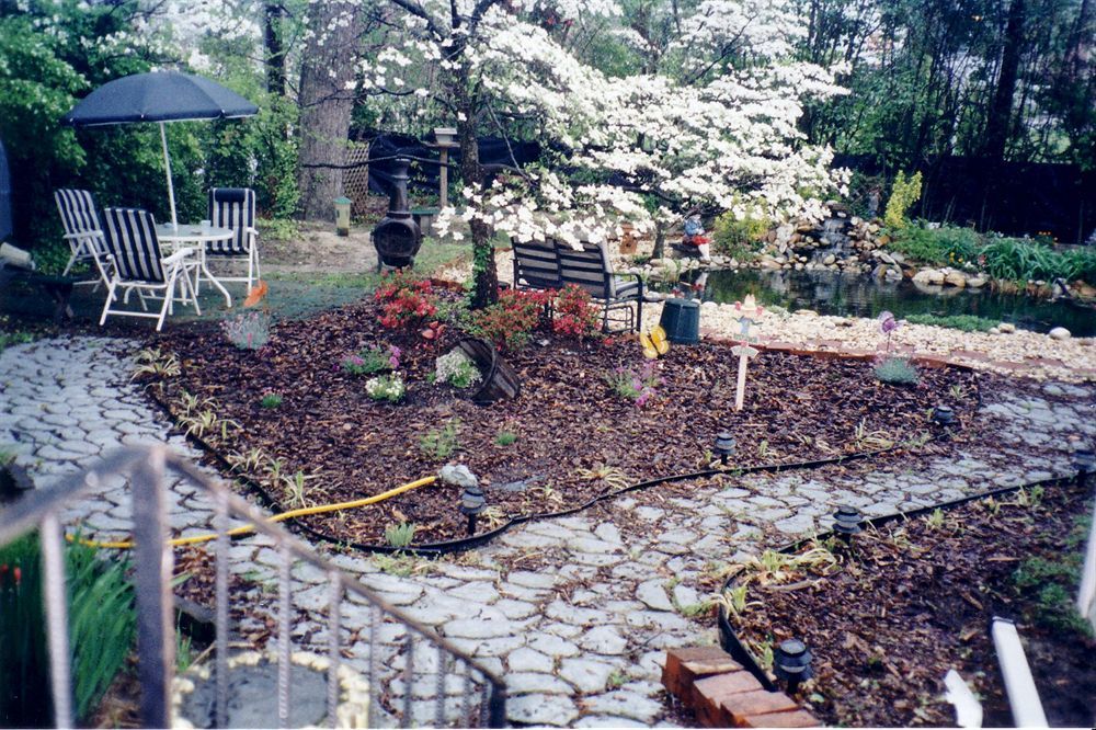 The Twin Magnolias Bed & Breakfast Roanoke Rapids Exteriör bild